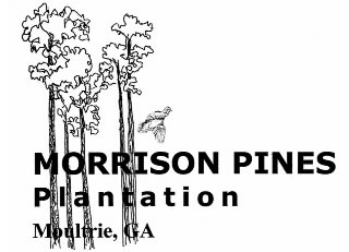 Morrison Pines logo